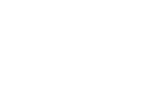 DELFIN